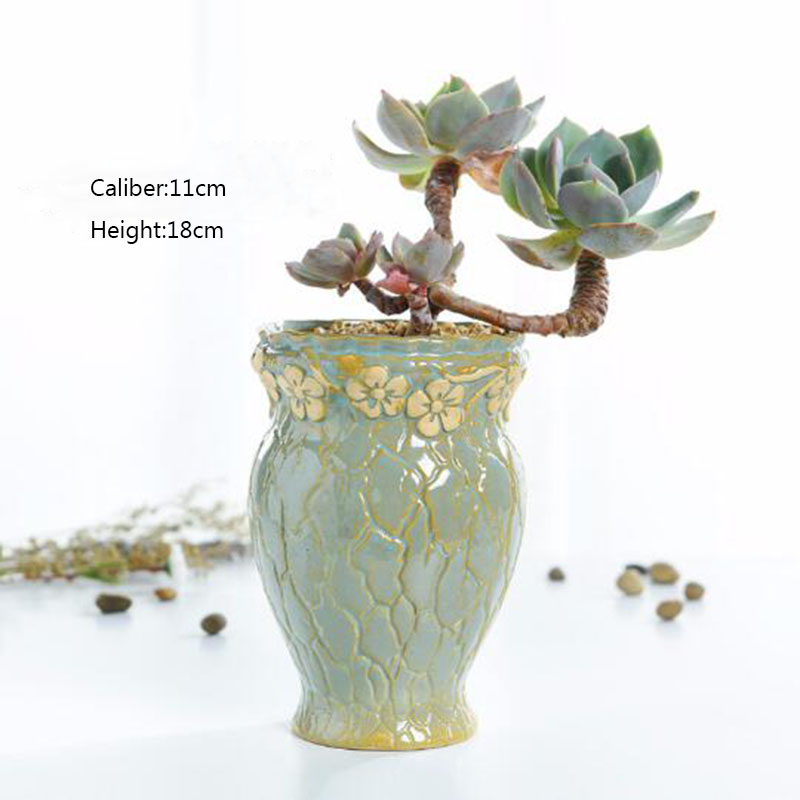 Vetplanten Bloempot Kleine en  - Echeveria Succulent recensie en prijs